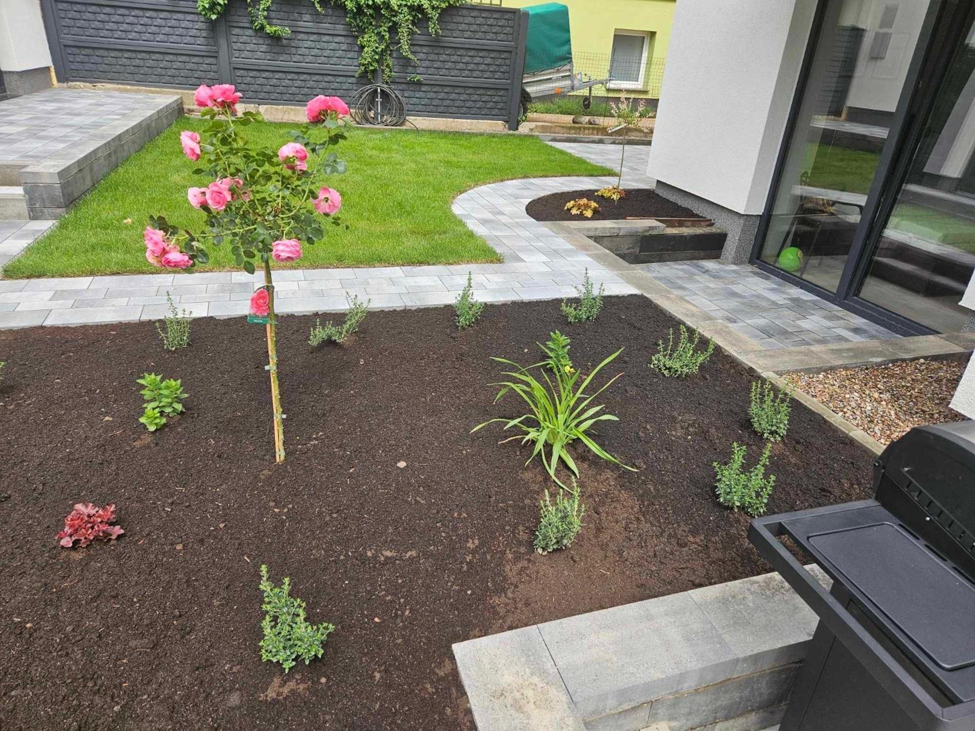 Pokoje Dziwnow Welle Exterior foto